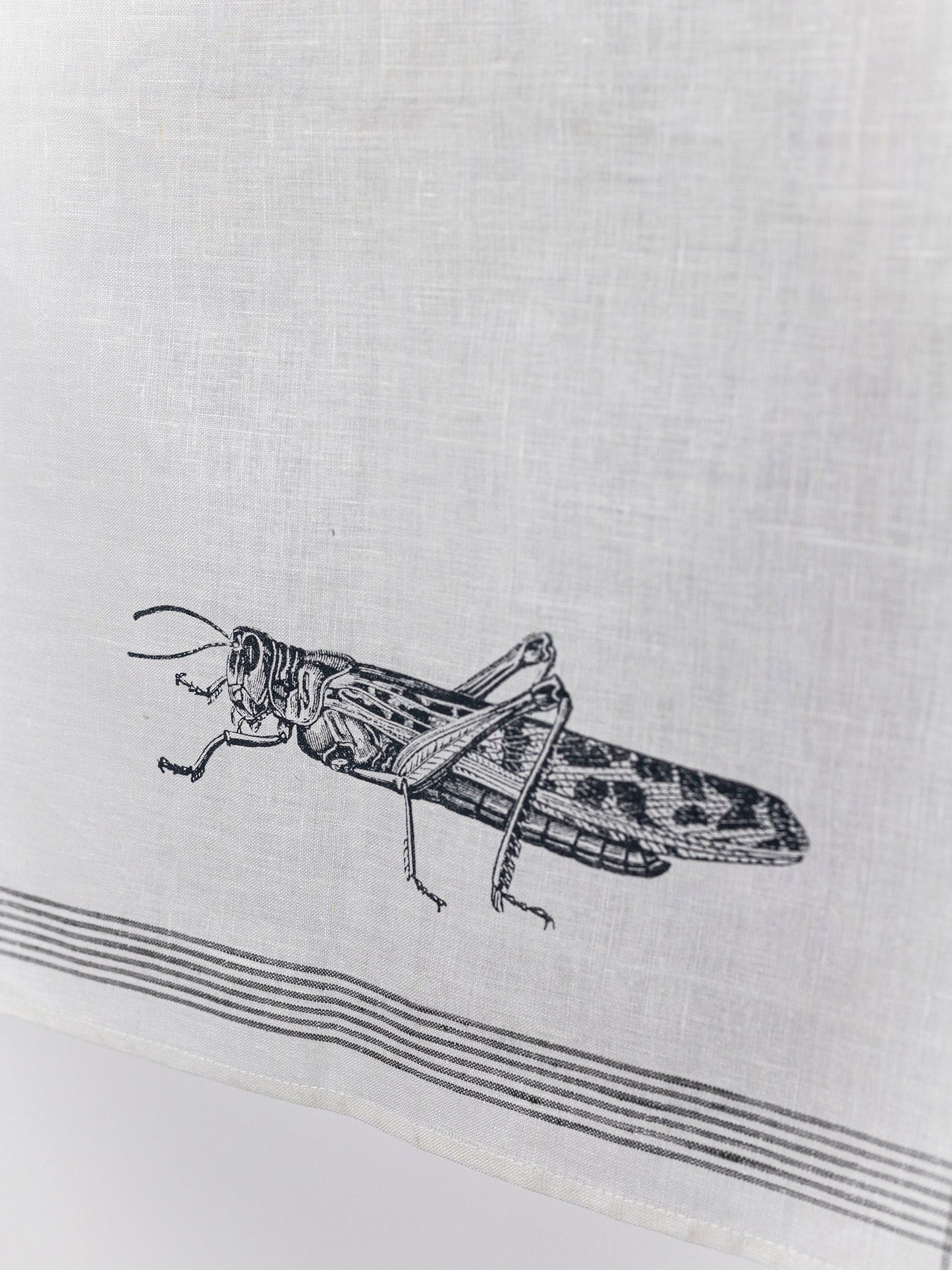 Geschirrhandtuch Heuschrecke