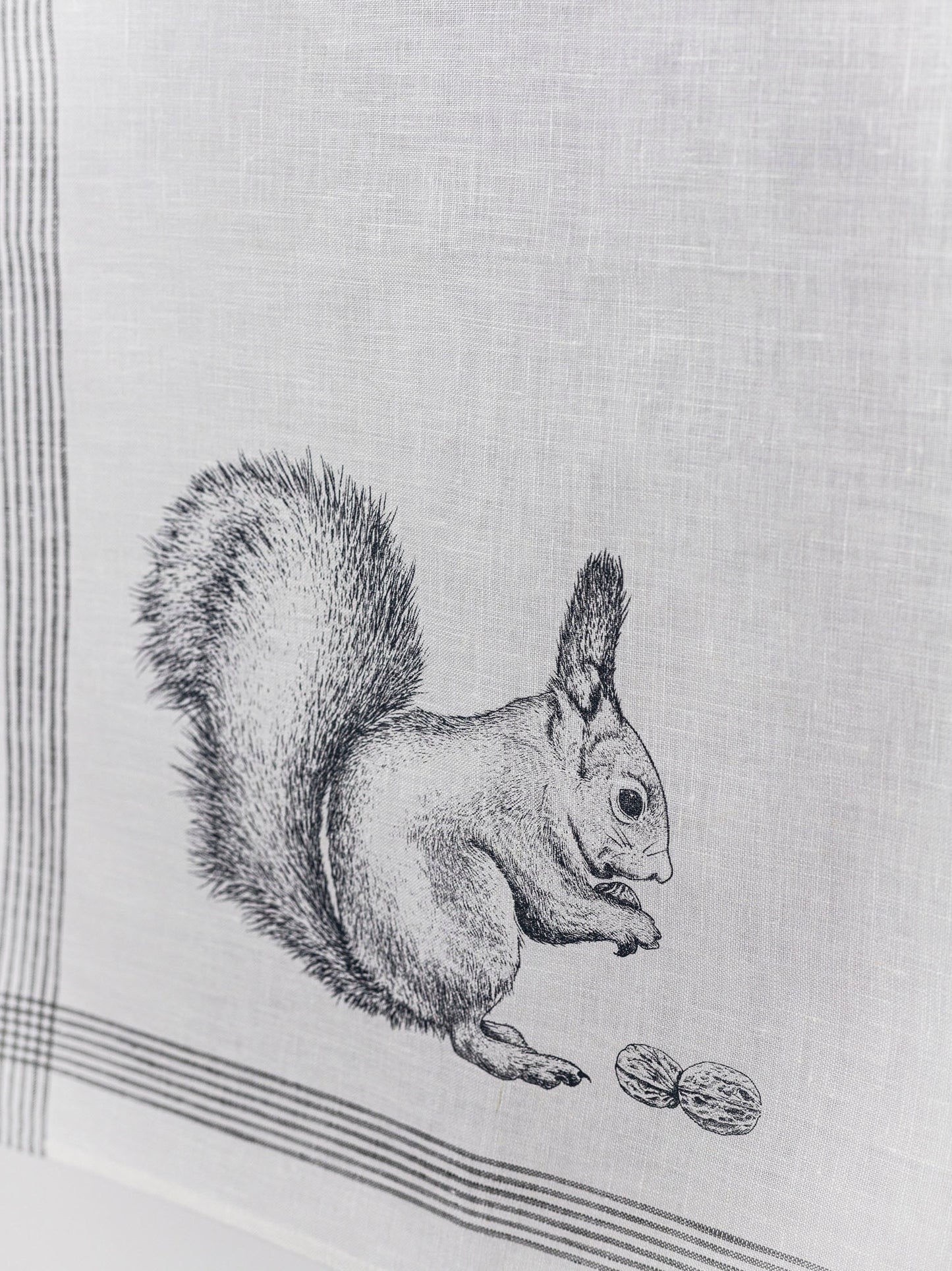 Geschirrhandtuch Eichhörnchen